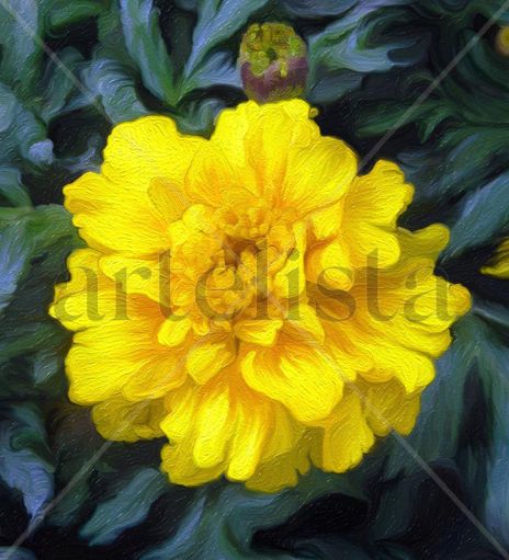 Flor amarilla
