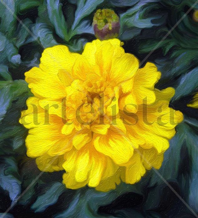 Flor amarilla