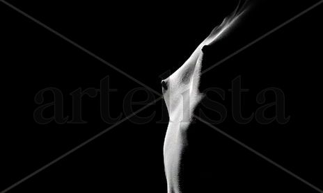Desnudos