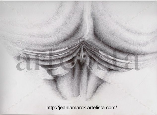 back mask