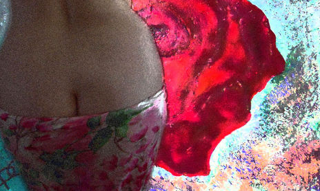 DESNUDOS