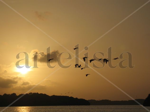 COROCORAS