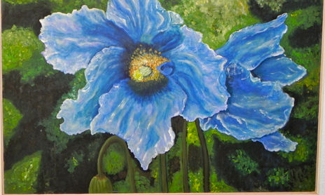 Flores