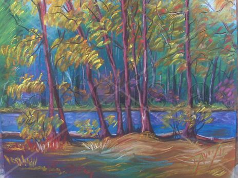 Paisaje en Pastel