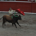 Toros thumbnail 2