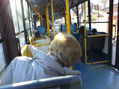 siesta  en el colectivo