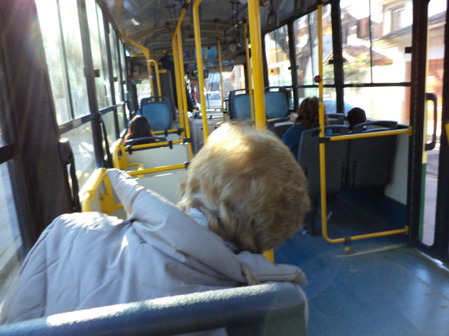 siesta  en el colectivo Oil Canvas Landscaping