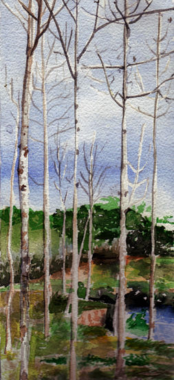 Bosque en Manabí Watercolour Card Landscaping