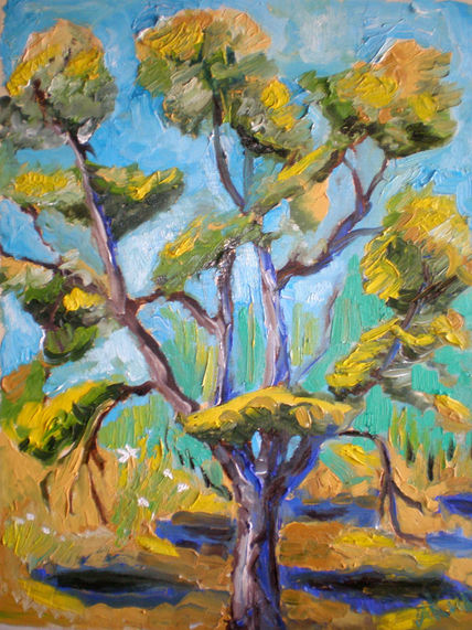 Sol y árbol