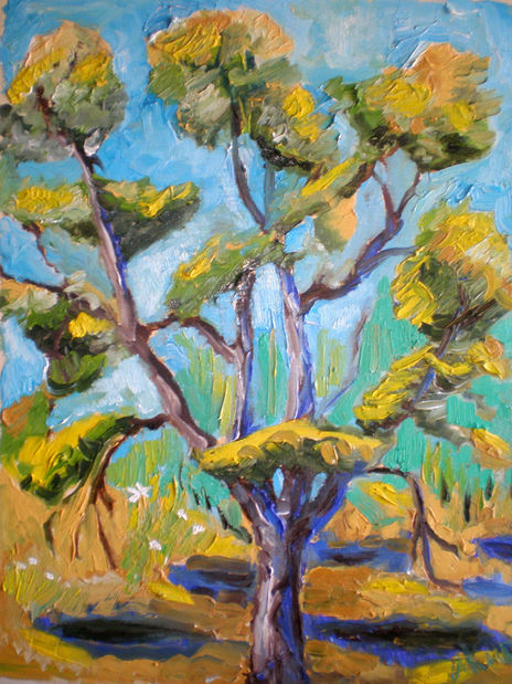 Sol y árbol