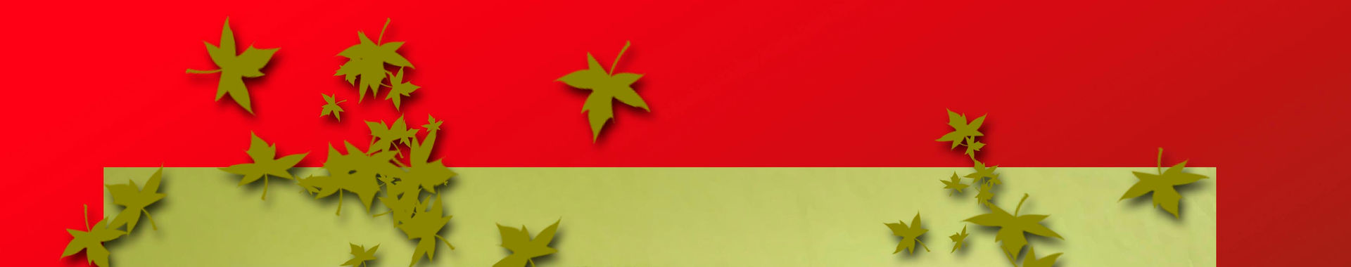 Imagen de portada
