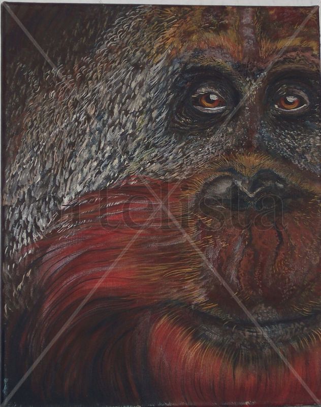 orangutan