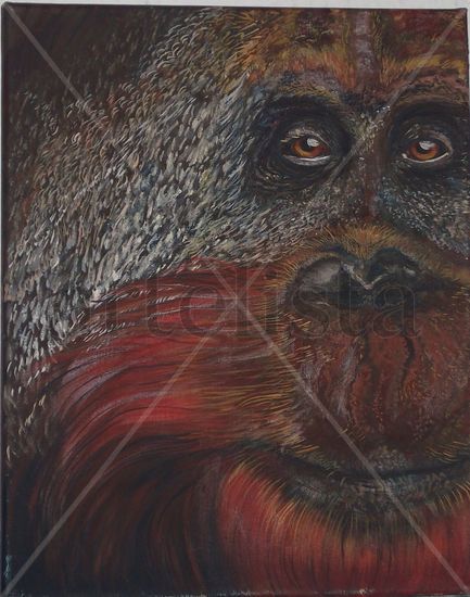 orangutan Óleo Lienzo Animales