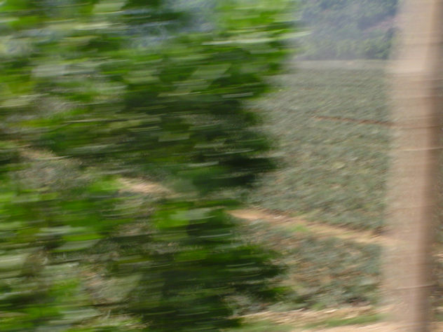 velocidad del tiempo  y la naturaleza