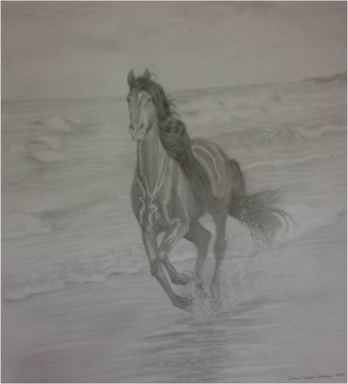 Caballo Graphite