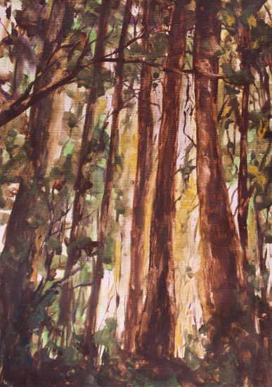 Forest Acuarela Papel Paisaje