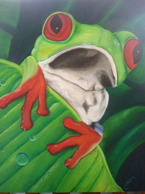 Miradas