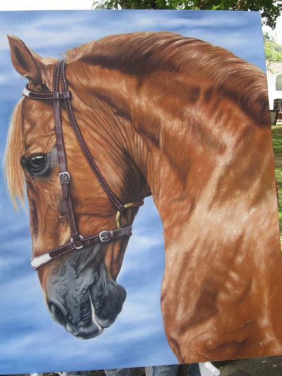 Caballo Oil Canvas Animals