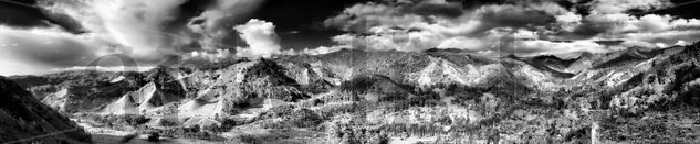 Valle del Cocora Naturaleza Blanco y Negro (Digital)