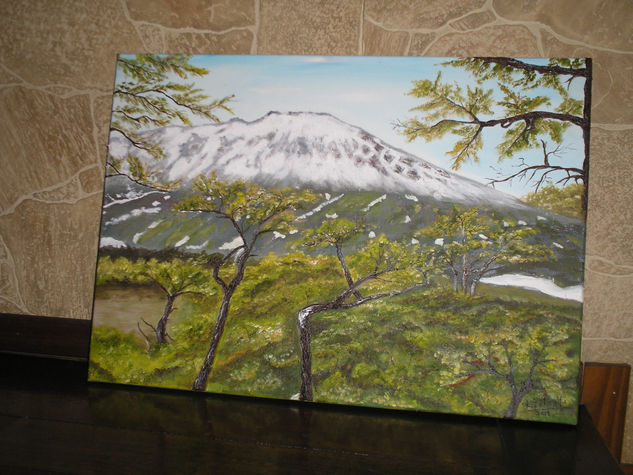 Ushuaia Oil Canvas Landscaping