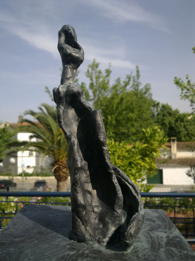 CANTANTE EN EL PARQUE