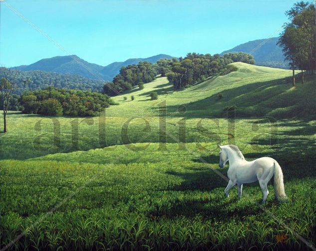 Libertad en la inmensidad Acrílico Lienzo Paisaje