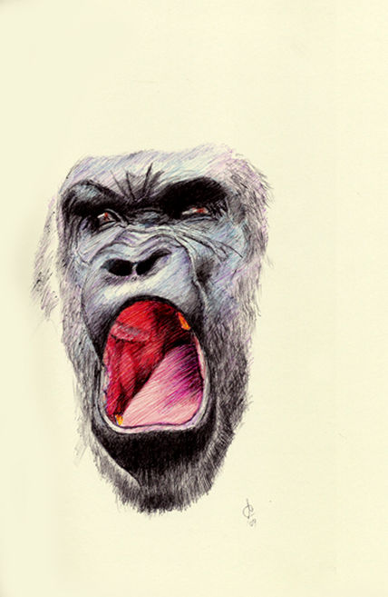 Silverback Gorilla