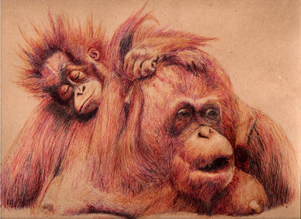 Orangutan Mom
