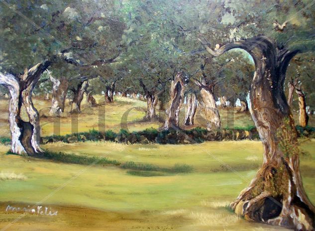 Olivos Oil Canvas Landscaping