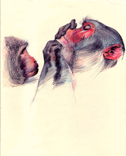 Grooming