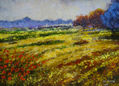 Campo yermo