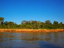 Rio Madre de Dios