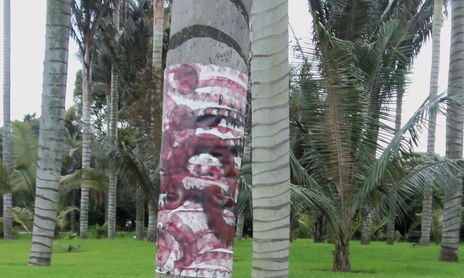 EXPOSICION JARDIN BOTÁNICO DE BOGOTÁ