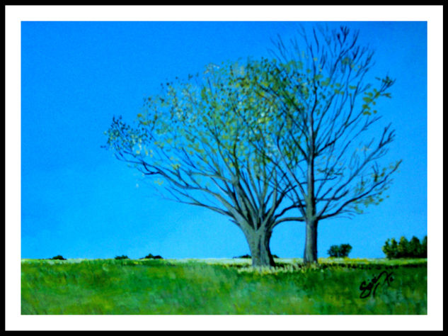 laguna el hinojo Óleo Lienzo Paisaje