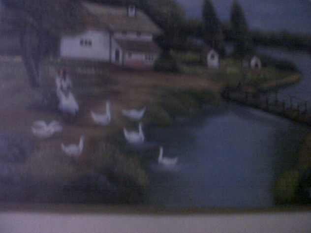 los cisnes