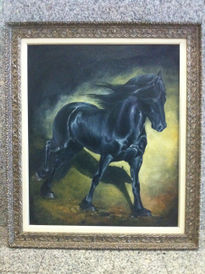 Caballo negro azabache