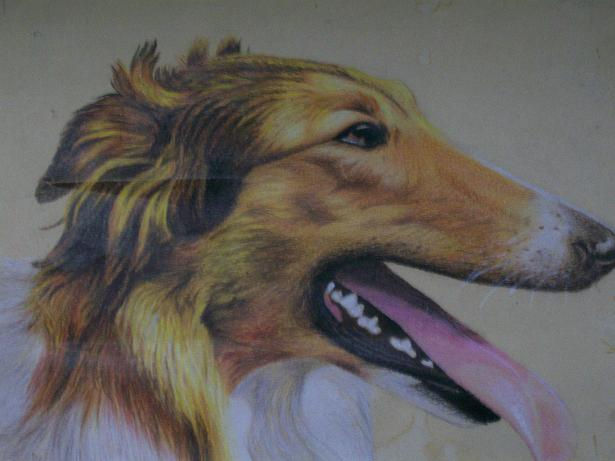 perro