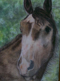 Caballo en pastel tiza