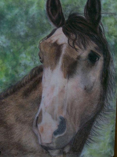 caballo en pastel tiza Others