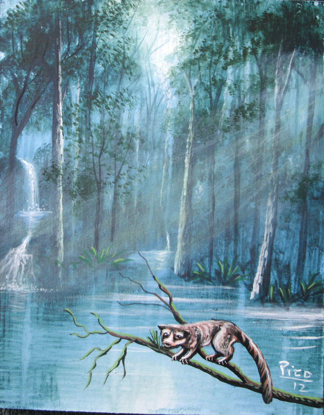 RAINFOREST