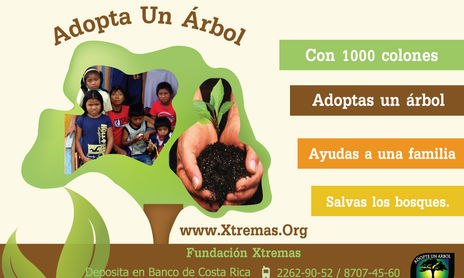 ADOPTE UN ARBOL, SALVE LOS BOSQUES Y AYUDE UNA FAMILIA