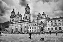 Catedral primada