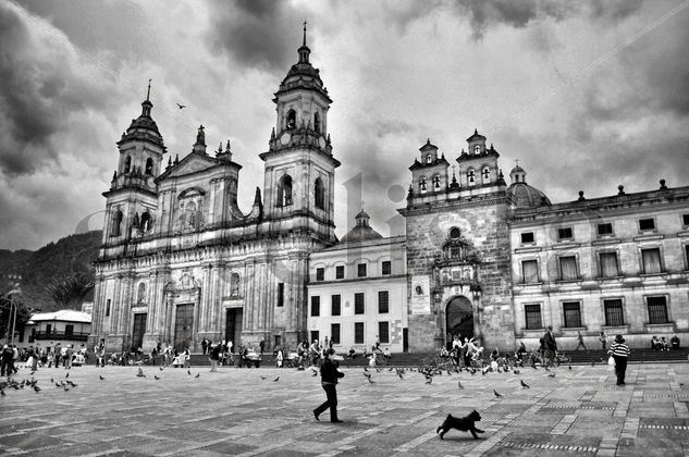 catedral primada Arquitectura e interiorismo Blanco y Negro (Digital)