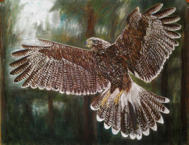 A hawk in the woods Pastel Papel Animales