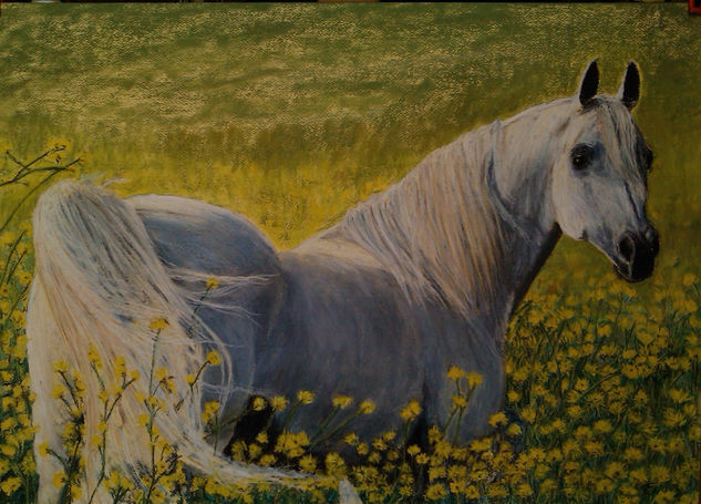 On yellow flowers Pastel Canvas Animals