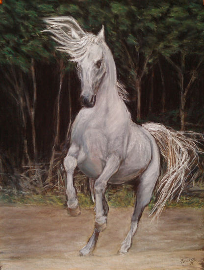 A White Horse Pastel Paper Animals