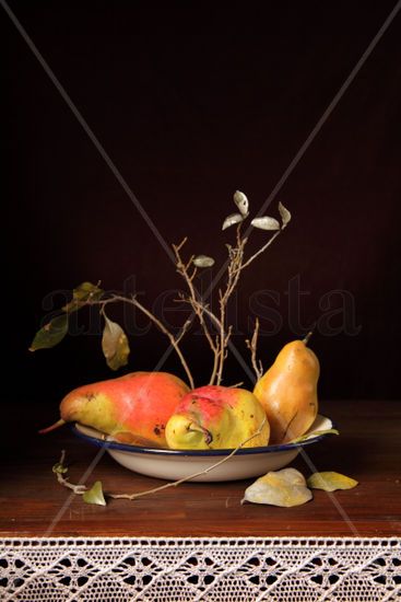 Bodegón de peras y ramas Still lifes Alternative techniques