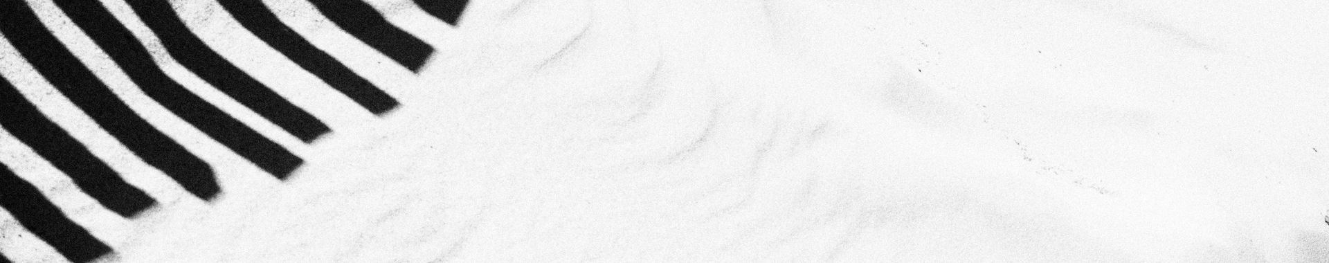 Imagen de portada