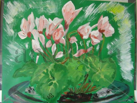 Cyclamen