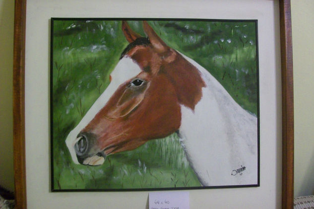 Tobiano Oil Canvas Animals